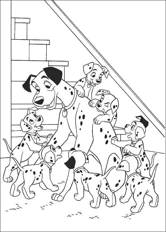 Название: Раскраска Понго с щенятами. Категория: 101 далматинец. Теги: 101, далматинцы.