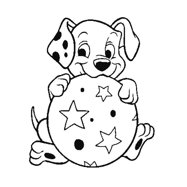 Coloring Puppy with ball. Category 101 Dalmatians. Tags:  That 101, Dalmatians.