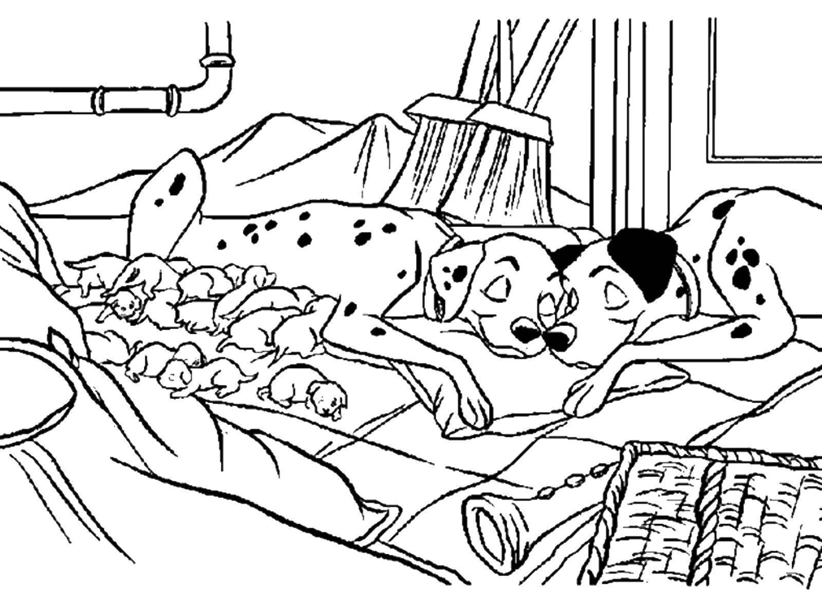 Coloring Family Dalmatians. Category 101 Dalmatians. Tags:  101 Dalmatians, Disney, cartoon.
