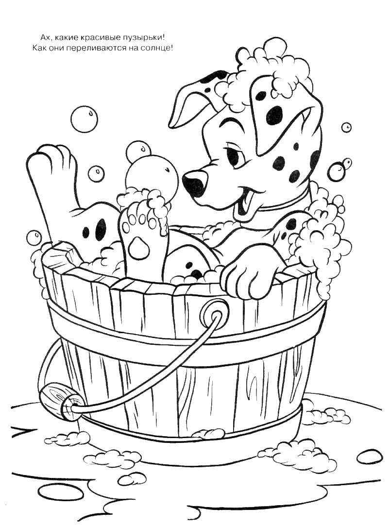 Coloring Dalmatians bathing. Category 101 Dalmatians. Tags:  That 101, Dalmatians.