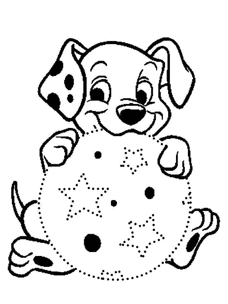 Coloring Dalmatian dog with ball. Category 101 Dalmatians. Tags:  That 101, Dalmatians.