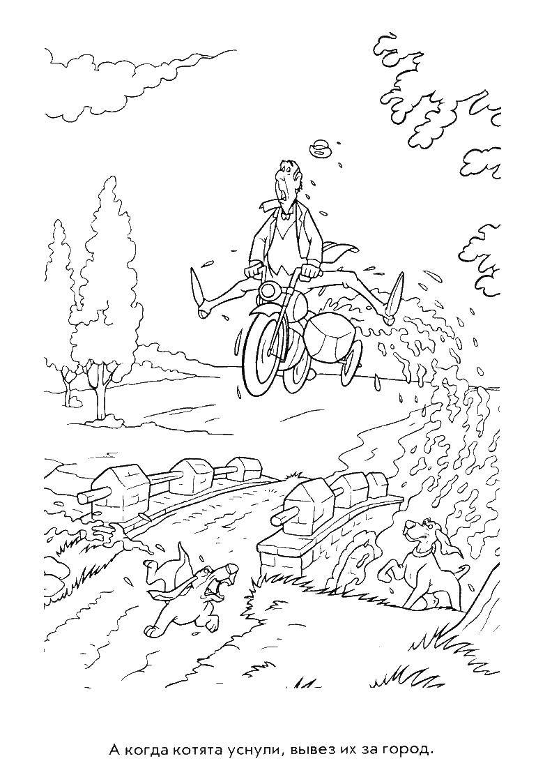 Coloring Edgar the Butler on a motorcycle. Category cats aristocrats. Tags:  The Kittens, Berlioz, Topos, Marie.