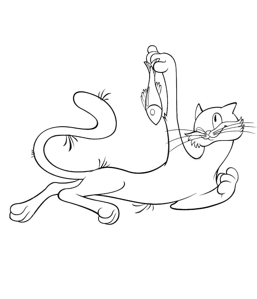 Название: Раскраска Кошка с рыбкой. Категория: котенок гав. Теги: котенок гав.