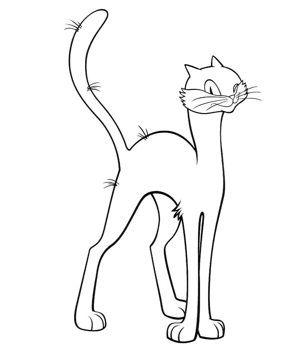 Название: Раскраска Кошка. Категория: котенок гав. Теги: кошка, кот.