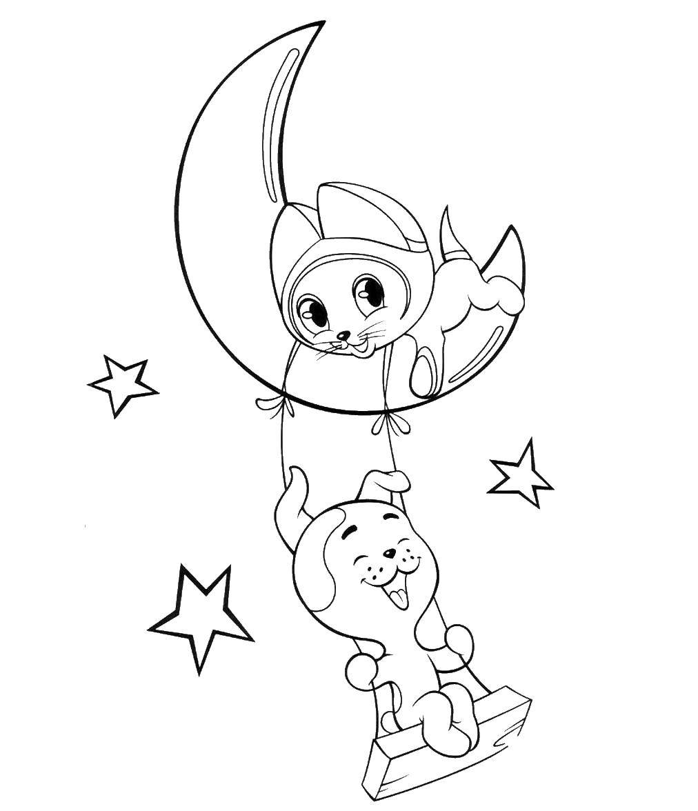 Coloring Kitten Gav, and a ball swinging on a swing. Category kitten Gav. Tags:  kitten Gav.