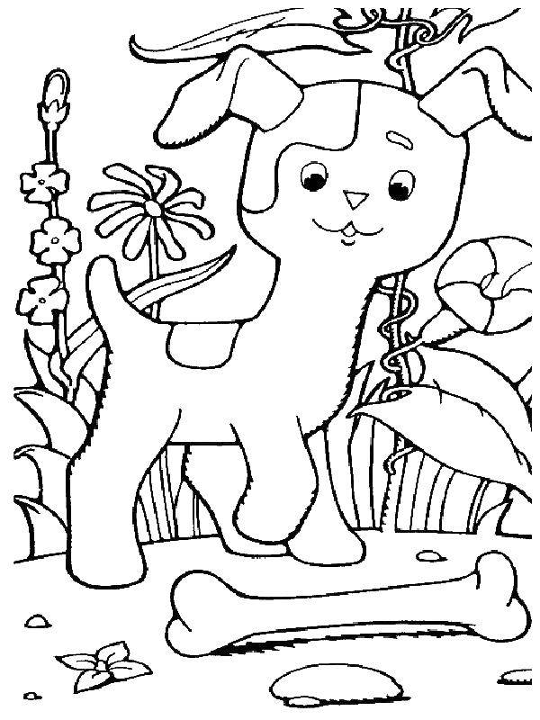 Coloring Puppy ball. Category kitten Gav. Tags:  puppy Ball.