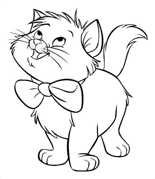 Coloring Toulouse. Category cats aristocrats. Tags:  Cats , the aristocats, Disney, cartoon.