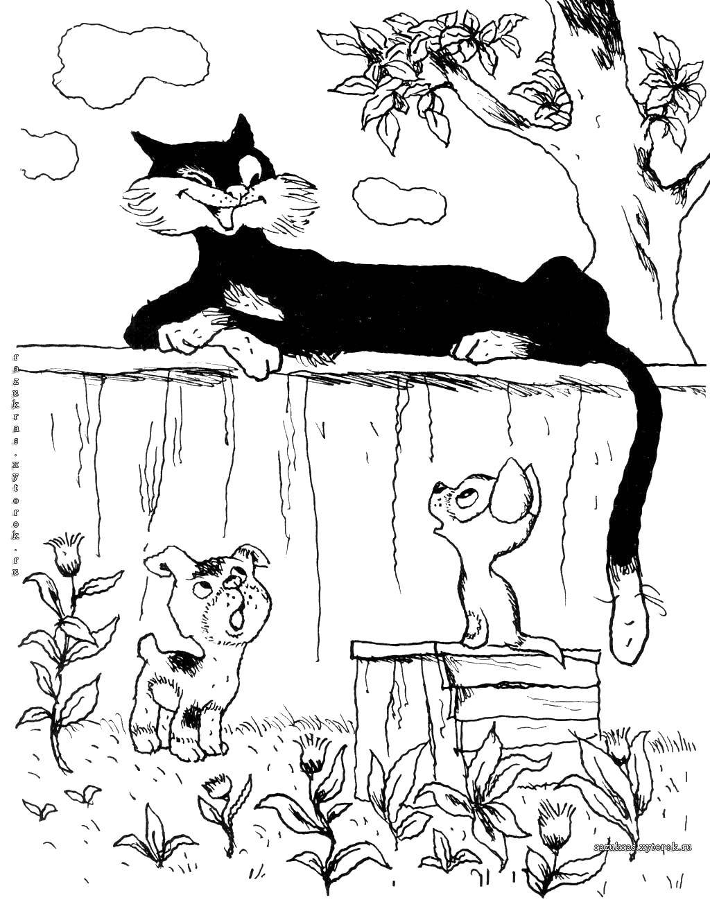 Опис: розмальовки  Кошеня по імені гав , кулька і кіт. Категорія: кошеня гав. Теги:  Персонаж з мультфільму, кошеня по імені Гав .