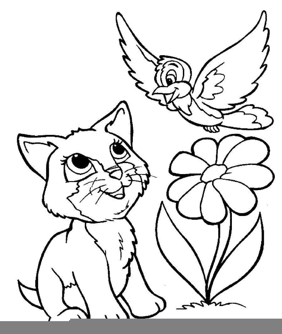 Название: Раскраска Кошка смотрит на птицу. Категория: Кошка. Теги: кошка, кот.