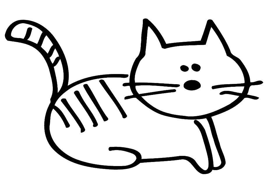 Название: Раскраска Кошка. Категория: Кошка. Теги: кошка, кот.