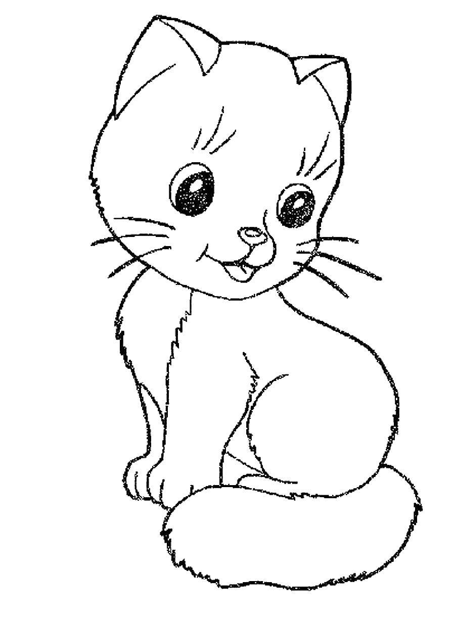 Название: Раскраска Кошка. Категория: Кошка. Теги: кошка, кот.