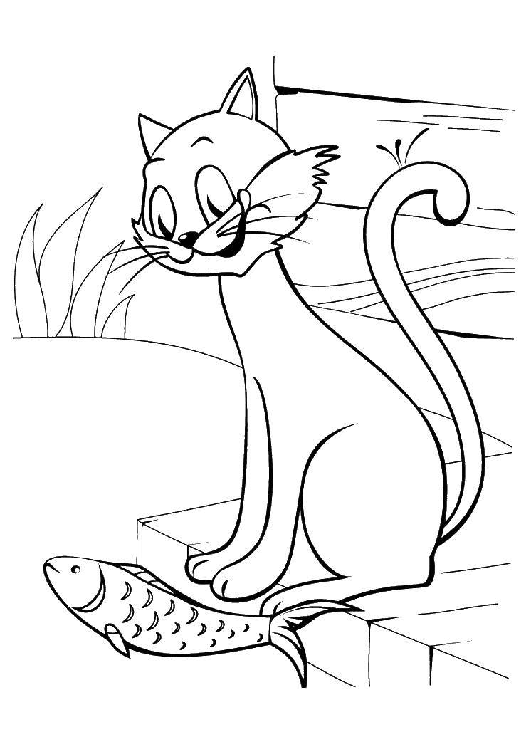 Название: Раскраска Кот и рыба. Категория: котенок гав. Теги: Персонаж из мультфильма, котенок по имени Гав .
