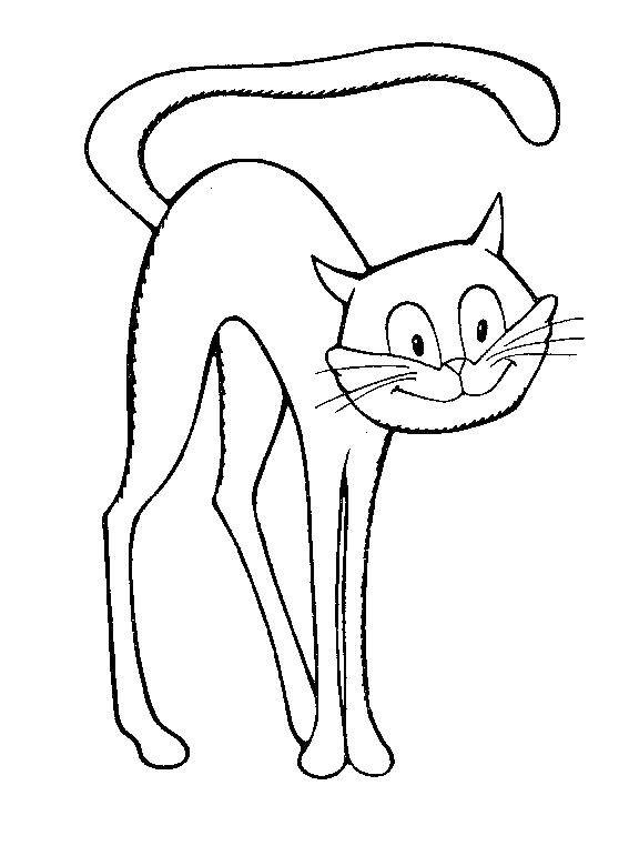Название: Раскраска Кот. Категория: котенок гав. Теги: котенок гав.