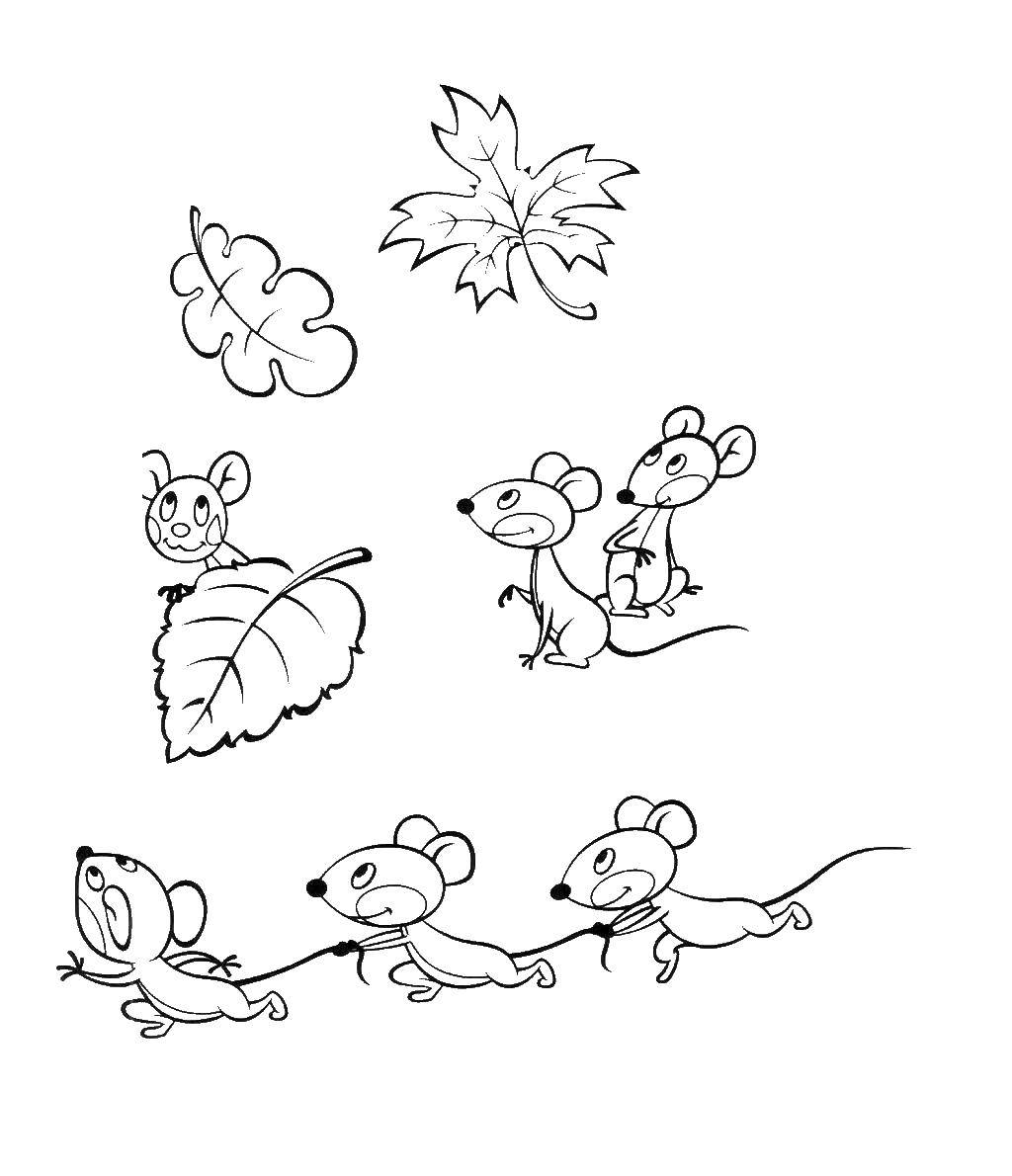 Название: Раскраска Мыши. Категория: грызуны. Теги: мыши.