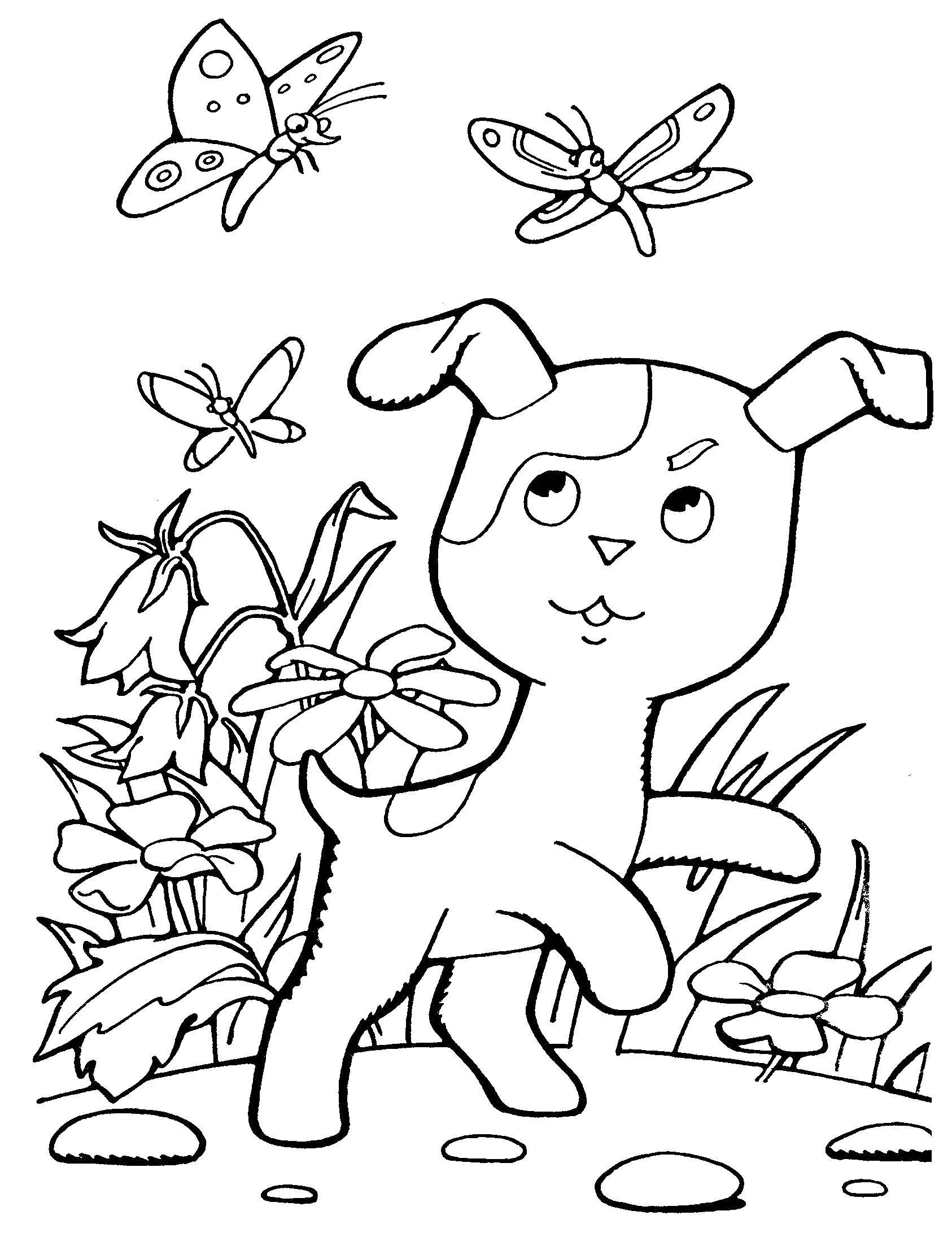 Coloring Ball and butterfly. Category kitten Gav. Tags:  Cartoon character, kitten named woof .