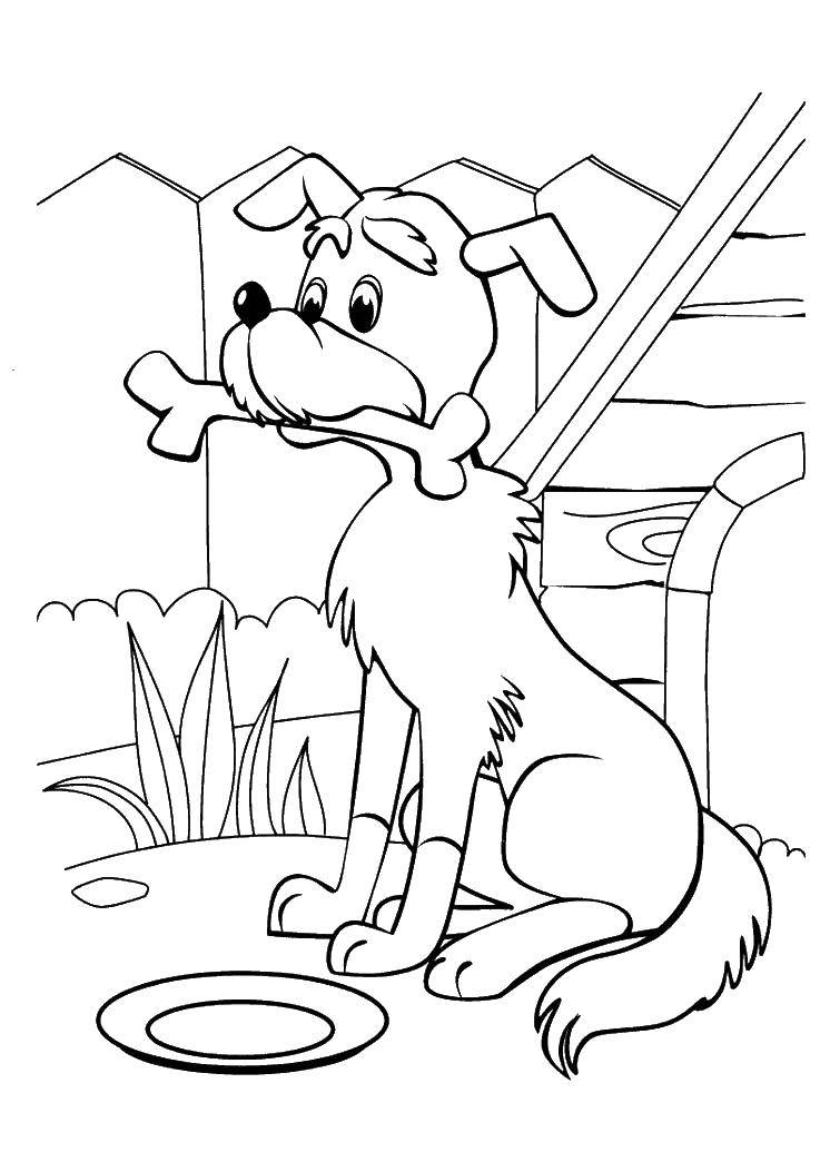 Coloring Dog. Category kitten Gav. Tags:  Cartoon character, kitten named woof .
