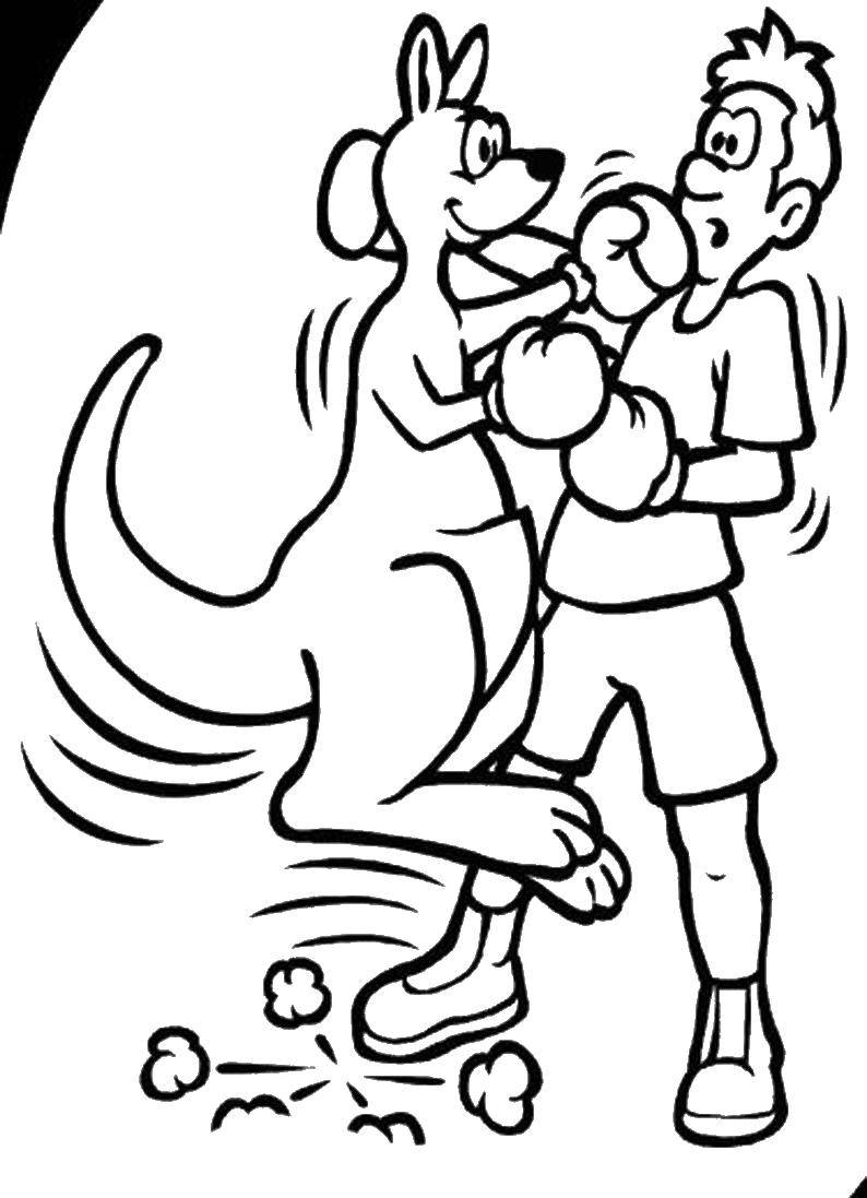 Название: Раскраска Кенгуру боксирует. Категория: спорт. Теги: кенгуру. боксер.