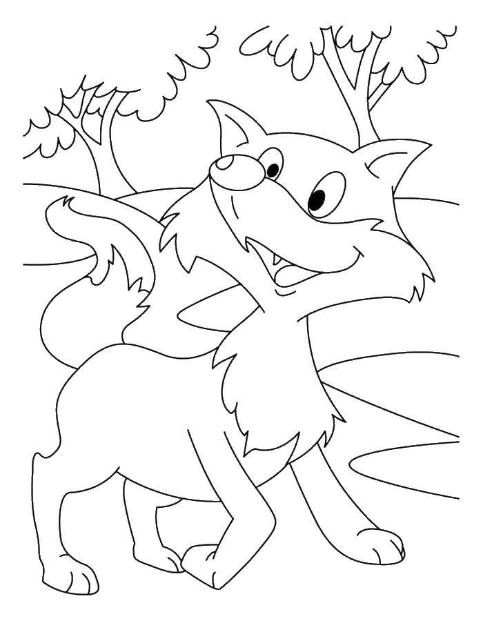 Coloring Fox. Category Animals. Tags:  Fox, foxes.