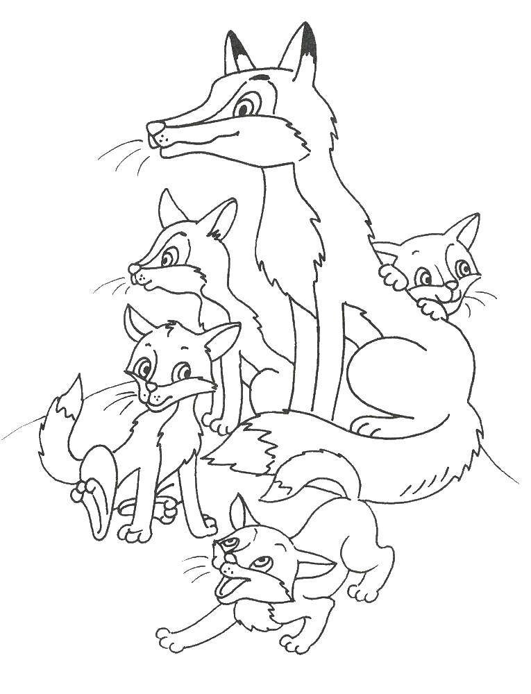 Coloring Family Fox. Category Animals. Tags:  Fox.
