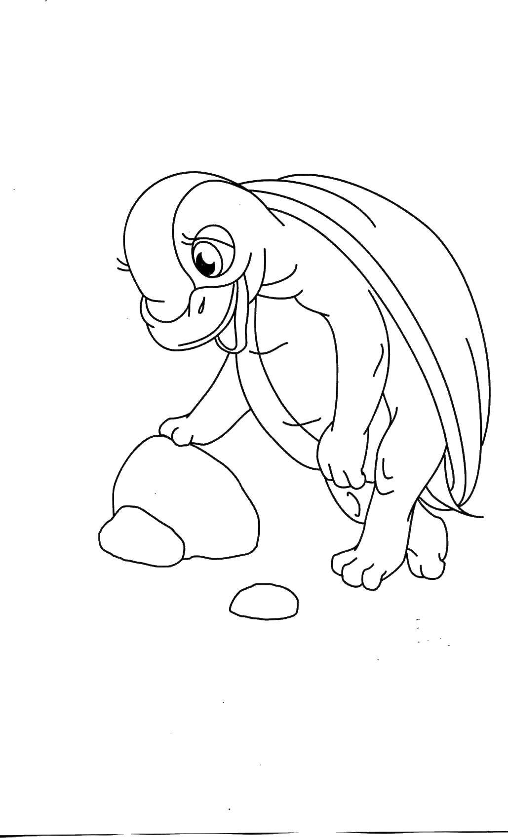 Coloring A thousand will. Category Animals. Tags:  Reptile, turtle.