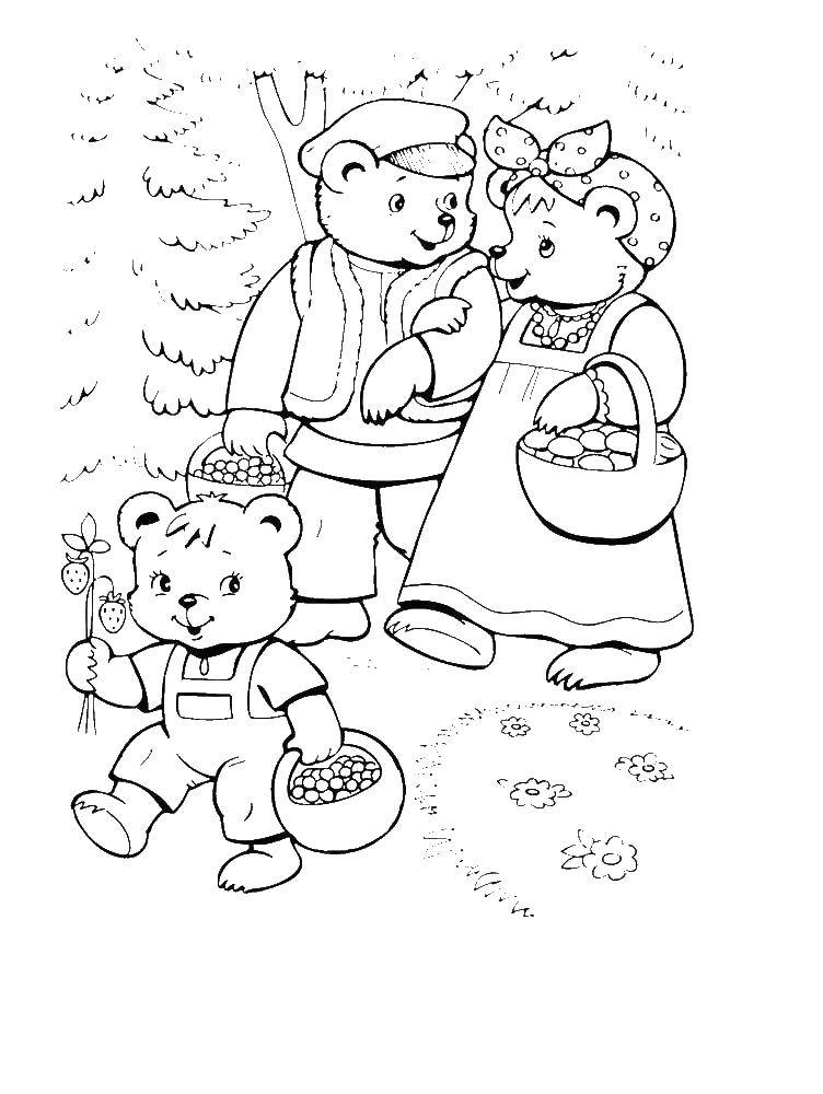Розмальовки  Ведмеді гуляють у лісі. Завантажити розмальовку ведмідь, три ведмеді.  Роздрукувати ,три ведмеді,