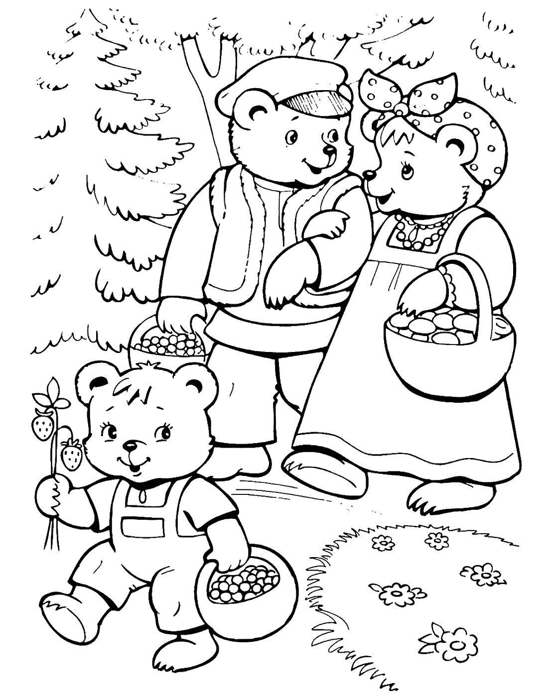 Розмальовки  Ведмеді гуляють у лісі. Завантажити розмальовку три ведмеді.  Роздрукувати ,три ведмеді,