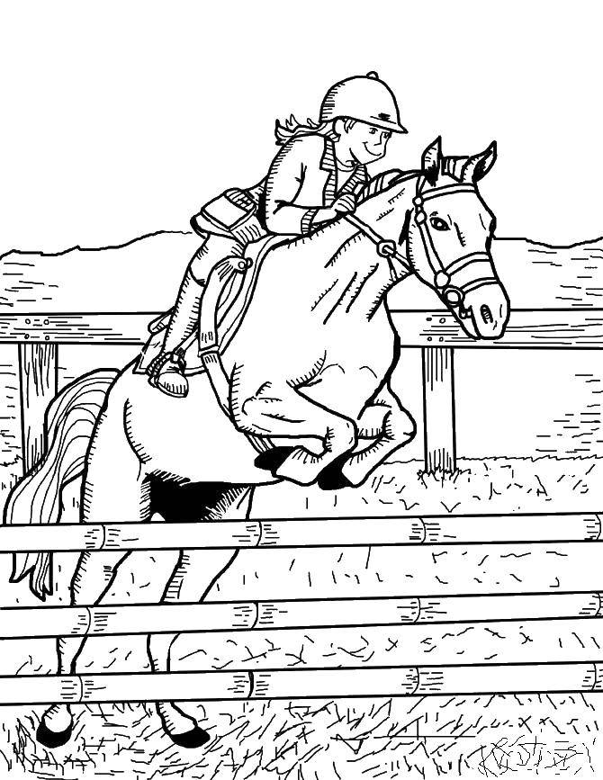 Coloring The rider on the horse. Category sports. Tags:  horse.