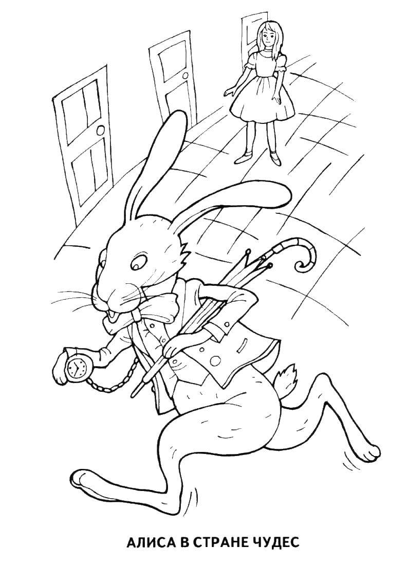 Розмальовки  Аліса зустріла зайця. Завантажити розмальовку Аліса в країні чудес.  Роздрукувати ,казки пушкіна,