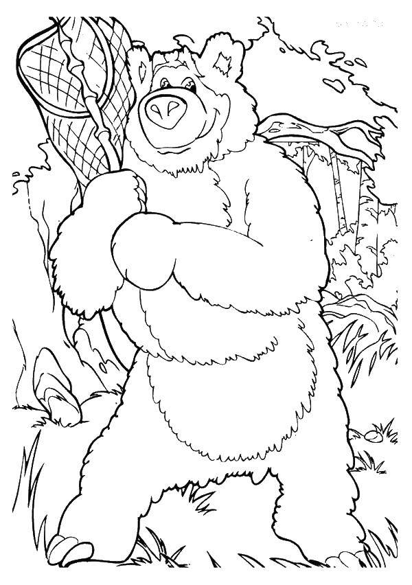 Розмальовки  Ведмідь ловить метелика. Завантажити розмальовку Маша, Ведмідь.  Роздрукувати ,маша і ведмідь,
