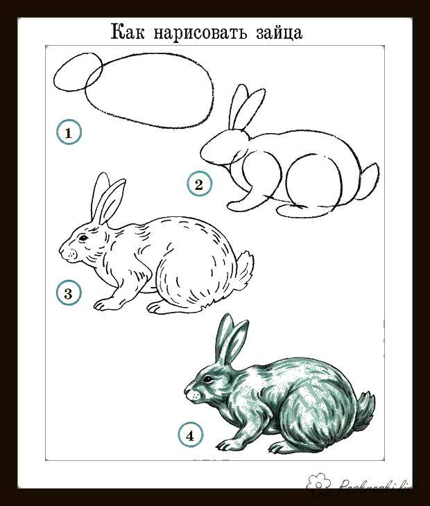 Название: Раскраска Нарисуй зайцев. Категория: Контуры животных. Теги: зайчик.