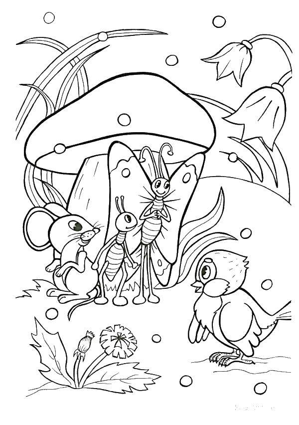 Coloring Insects hiding under the mushroom. Category Fairy tales. Tags:  insects.