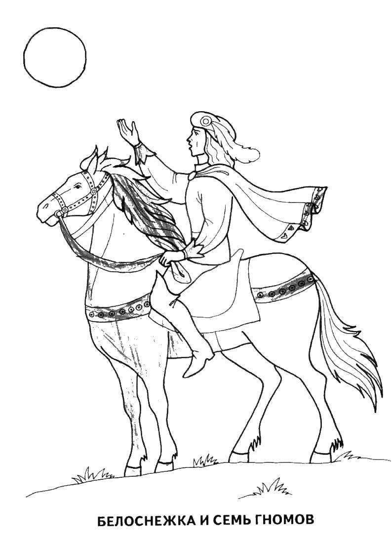 Название: Раскраска Принц на коне. Категория: сказки пушкина. Теги: Белоснежка, семь гномов.