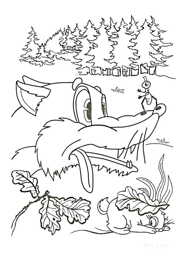 Coloring The wolf seeks Bunny. Category Fairy tales. Tags:  wolf, hare.