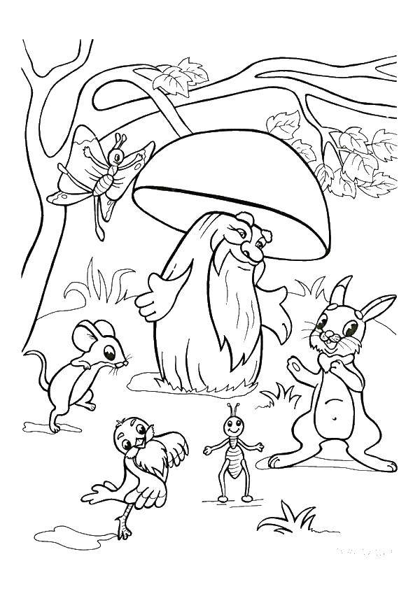 Coloring Animals thank mushroom. Category Fairy tales. Tags:  animals, mushrooms.