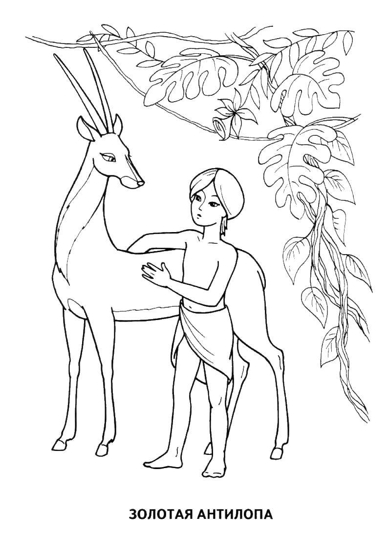 Название: Раскраска Золотая антилопа и мальчик. Категория: сказки пушкина. Теги: Золотая антилопа.