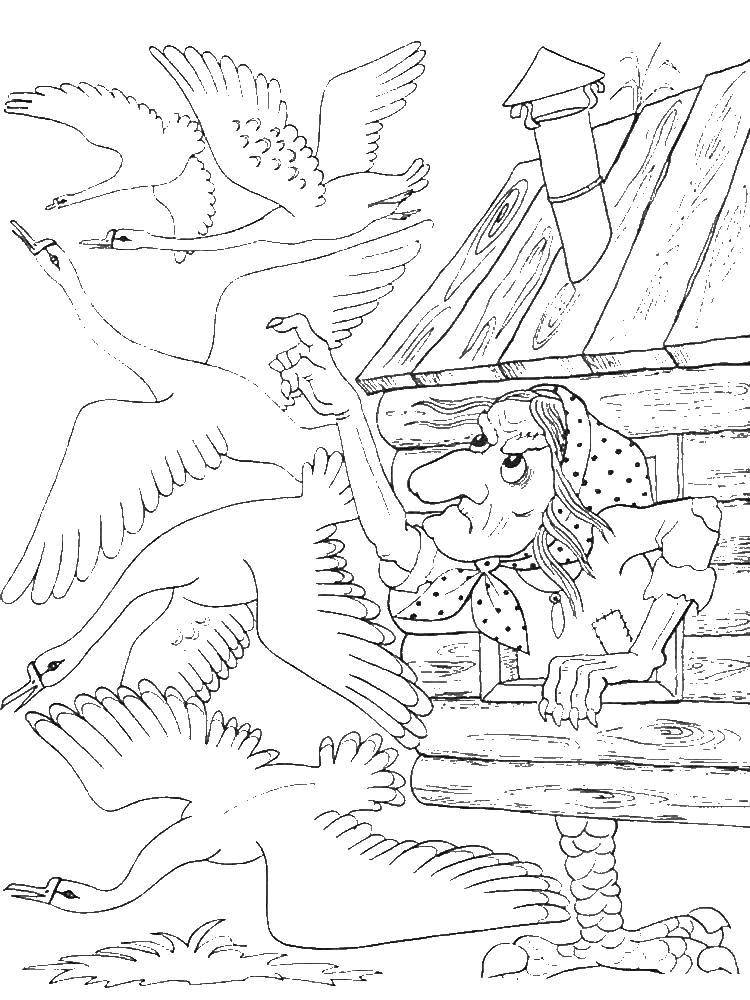 Coloring Baba Yaga sends goose chase. Category geese, swans. Tags:  Tales Geese Swans.