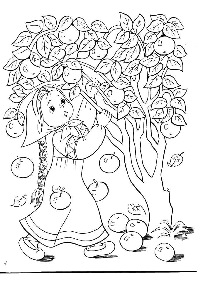 Coloring The girl helps the Apple tree. Category geese, swans. Tags:  geese, swans.