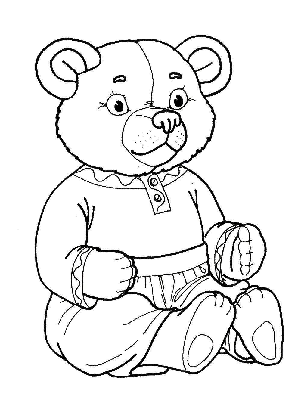 Coloring Bear. Category toy. Tags:  bear, toy.