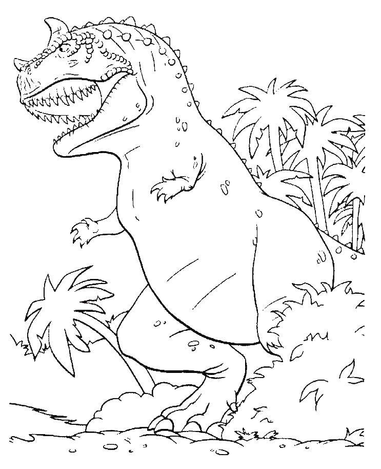 Название: Раскраска Тираннозавр рекс. Категория: динозавр. Теги: Рекс.