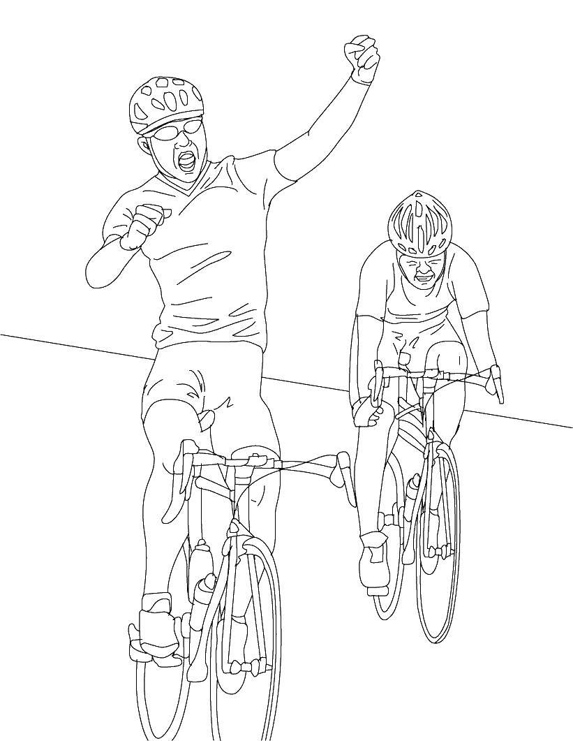 Название: Раскраска Велосепедисты. Категория: спорт. Теги: велосипед.