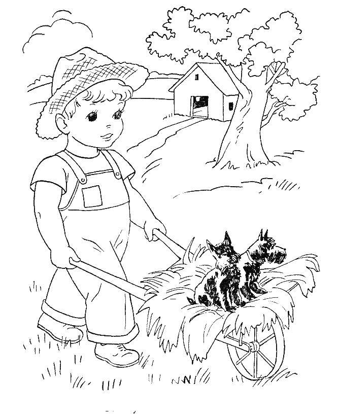 Название: Раскраска Фермерский мальчик везёт собачек. Категория: осень. Теги: Осень, ферма.