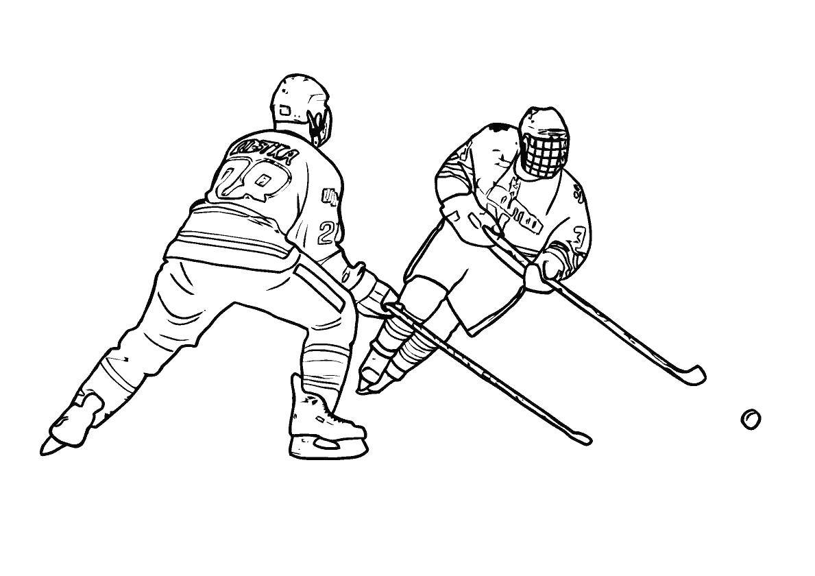 Название: Раскраска Хоккей. Категория: спорт. Теги: хоккей.