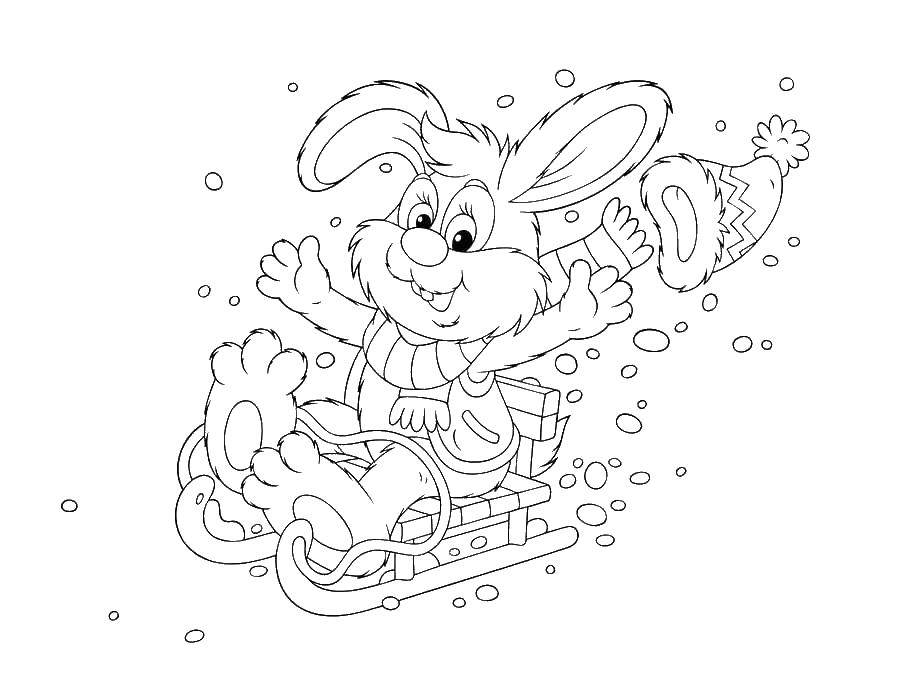 Coloring Bunny sledding. Category Animals. Tags:  sledge, rabbit.