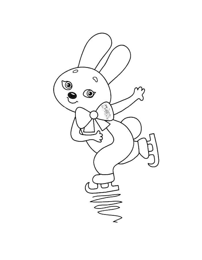 Название: Раскраска Зайчик на коньках. Категория: Животные. Теги: заяц, кролик.
