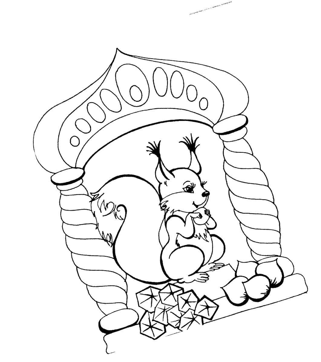 Coloring Squirrel gnaws nuts. Category Fairy tales. Tags:  protein, nuts.