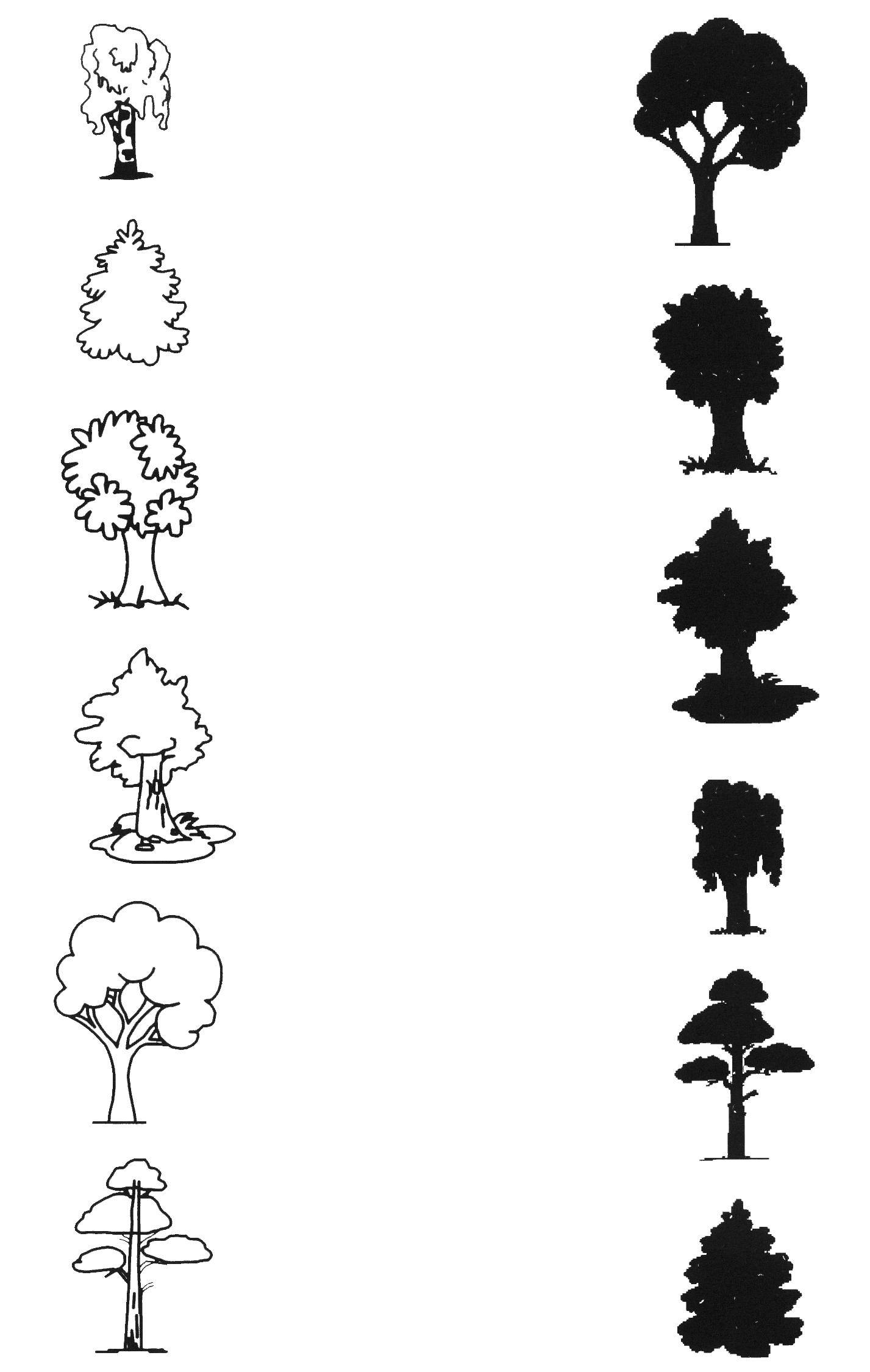 Coloring Trees. Category The contours of the leaves. Tags:  the trees.