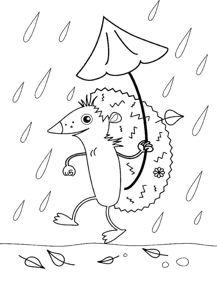 Название: Раскраска Ежик идет под дождем. Категория: осень. Теги: ежик, дождь.