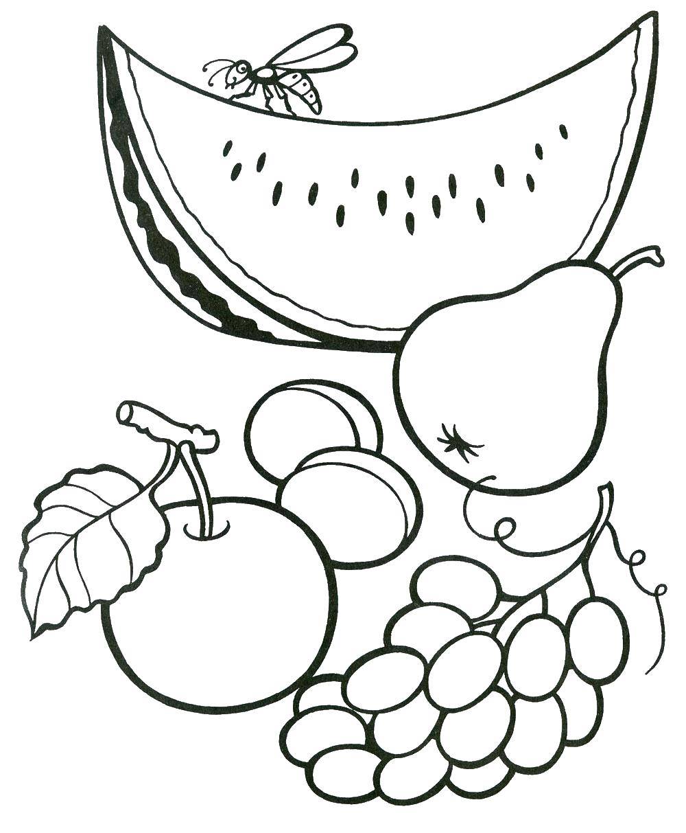Название: Раскраска Фрукты и ягоды. Категория: фрукты. Теги: фрукты, ягоды.