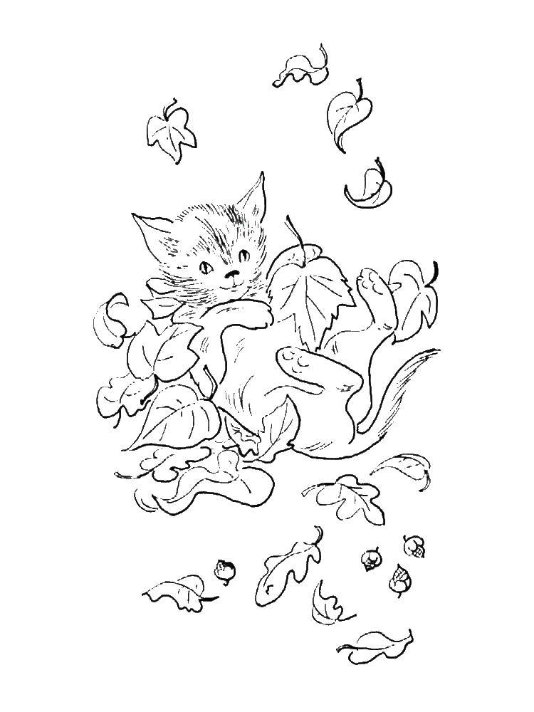 Название: Раскраска Кошка играет с листьями. Категория: осень. Теги: кошка, листья.