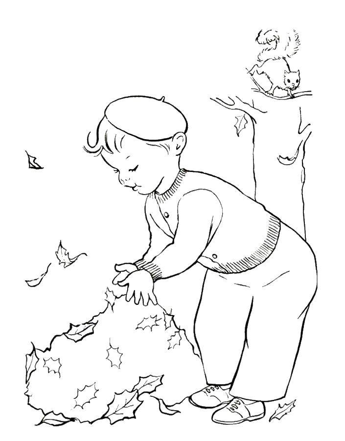 Название: Раскраска Мальчик собирает листья. Категория: осень. Теги: листья.